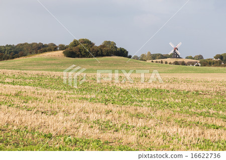 Mill on the field 16622736