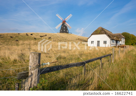 Windmill on the pasture 16622741