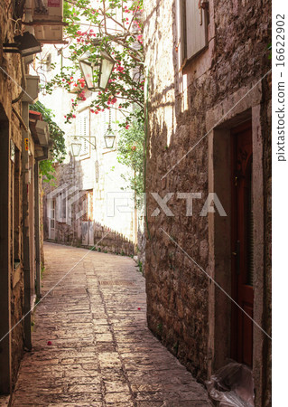 Old town Budva 16622902
