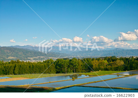 山和稻田 16622903