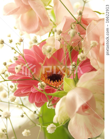 Bouquet Bouquet 16622913