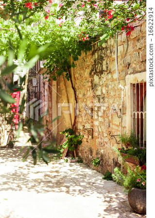 Old town Budva Old town Budva 16622914