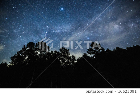 樹和大三角在夏天 16623091