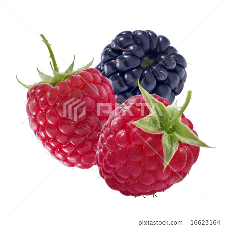 Two raspberries and one blackberry isolated 16623164