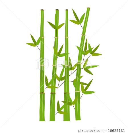 Colorful Stems and Bamboo Leaves. Vector Illustration. Colorful Stems and Bamboo Leaves. Vector Illustration. 16623181