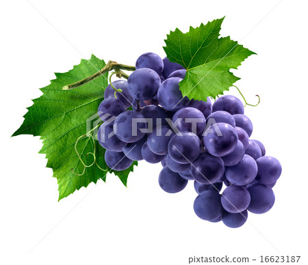Purple grapes bunch isolated on white background 16623187