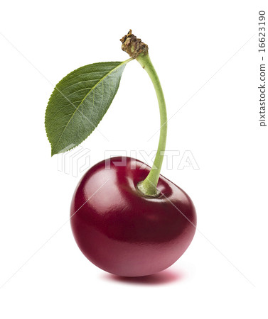 Single wild cherry isolated on white background Single wild cherry isolated on white background 16623190
