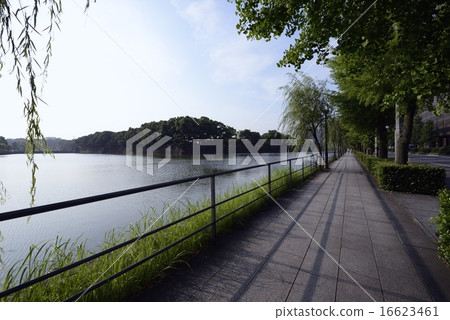 Edo castle, the moat of the Imperial Palace 16623461