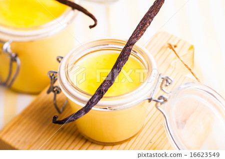 Vanilla custard 16623549