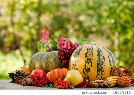 Happy Thanksgiving  16624116