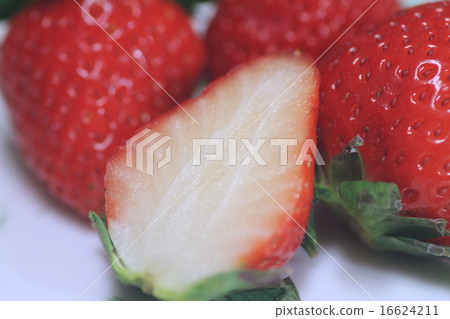 草莓吃 草莓吃 16624211