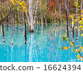Autumn leaves of a blue pond 16624394