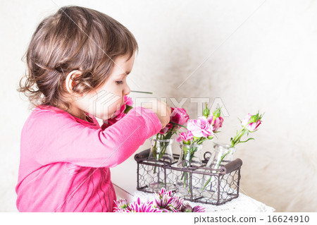 Rose smell Rose smell 16624910