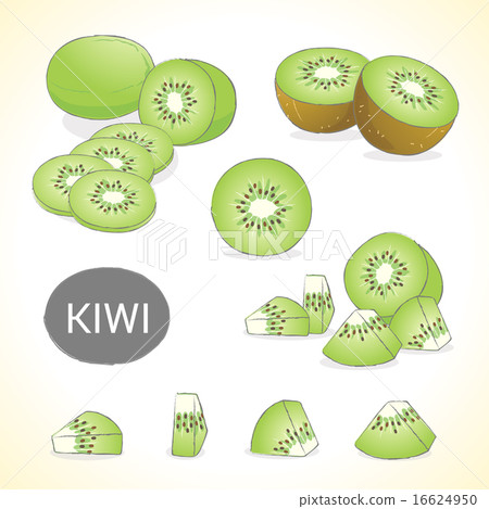 Set of kiwi fruit in various styles 16624950