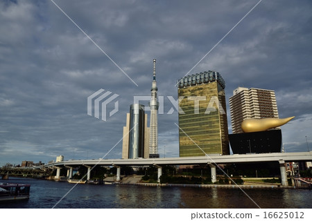 Sky tree Sky tree 16625012