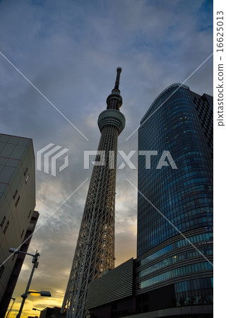 天空樹 天空樹 16625013