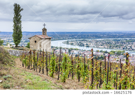 grand cru vineyard and Chapel of St. Christopher 16625176