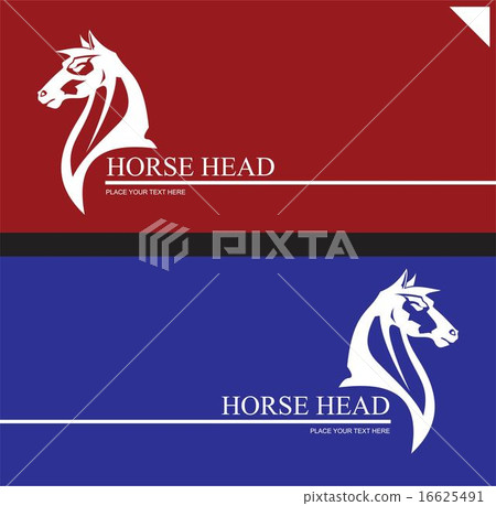 Elegant horse heads Elegant horse heads 16625491