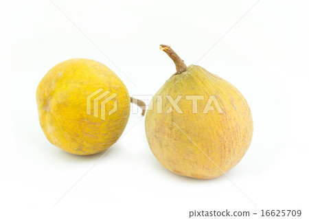 Santol tropical fruit on white 16625709