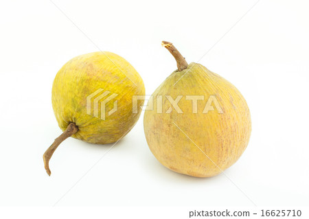 Santol tropical fruit on white 16625710