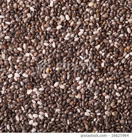 chia seeds chia seeds 16625964