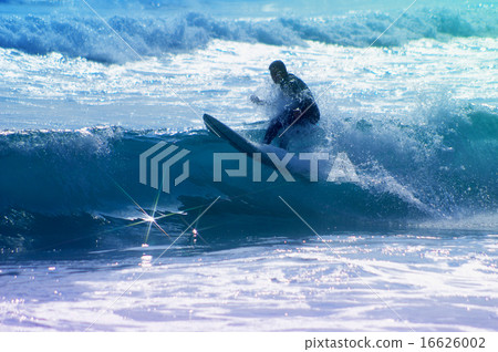 衝浪 衝浪 16626002