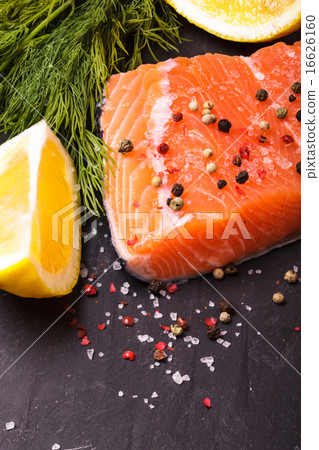 Piece of salmon Piece of salmon 16626160