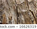 Wood texture 16626319