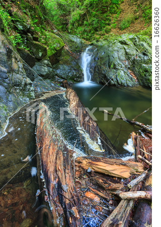 Valea lui Stan Gorge in Romania Valea lui Stan Gorge in Romania 16626360