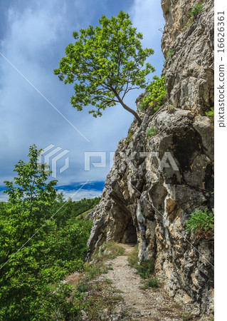 Gorge National Park Nerei- Beusnita, Romania 16626361