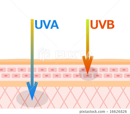 UV damage 16626826