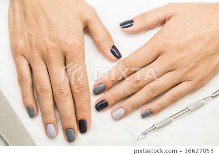 Beautiful manicure on hands of the girl Beautiful manicure on hands of the girl 16627053
