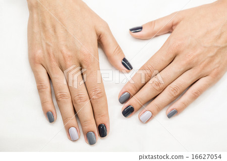 Beautiful manicure on hands of the girl Beautiful manicure on hands of the girl 16627054
