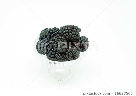 黑莓 黑莓 16627563