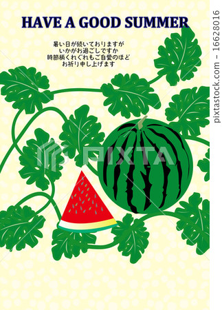 Hot summer snow in watermelon field 16628016