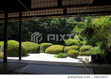 京都資生堂 16628037