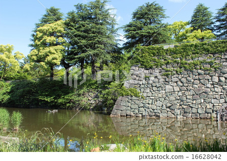 Kyoto Yodo Castle Ruins 16628042