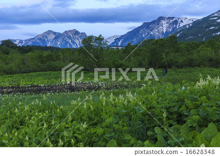 Tsugaike Nature Park 16628348