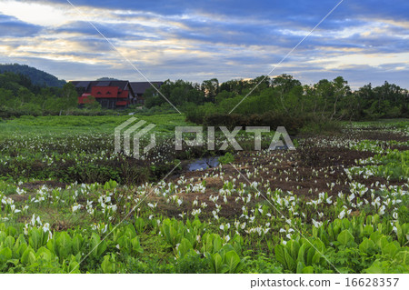 Tsugaike Nature Park Tsugaike Nature Park 16628357