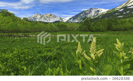 Tsugaike Nature Park Tsugaike Nature Park 16628386