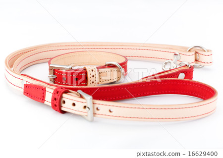 Dog collars and leads Dog collars and leads 16629400