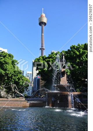 Sydney Tower and Hyde Park Sydney Tower and Hyde Park 16629897
