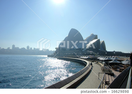 Opera house illuminated by Sydney Asahi Opera house illuminated by Sydney Asahi 16629898