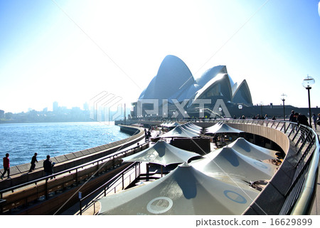 Opera house illuminated by Sydney Asahi 16629899