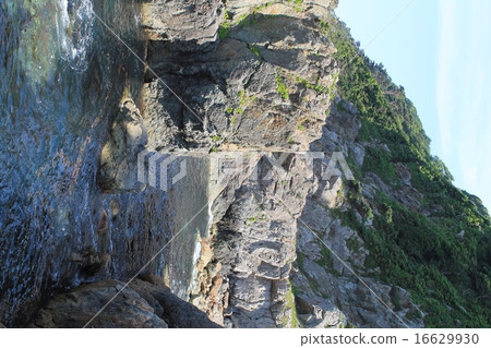 Kuji City Iwate Prefecture Kochi fishing port 16629930