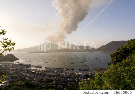 Sakurajima's plume and the ocean sea Sakurajima's plume and the ocean sea 16630960