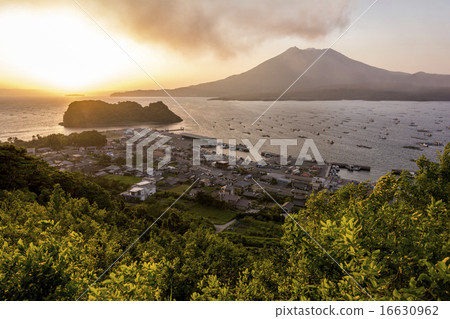 櫻島的火山爆發和海湖的日落 櫻島的火山爆發和海湖的日落 16630962