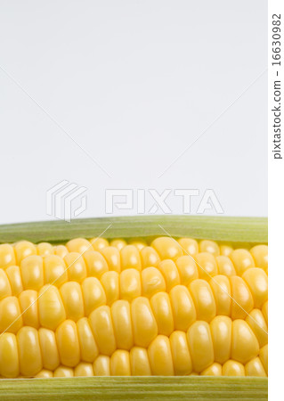 生玉米 16630982