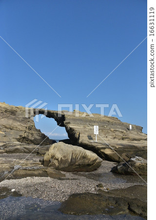 馬的後門 16631119