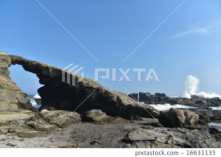 島外海岸和馬的後門 16631135